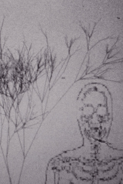 Exultations: In Light of the Great Giving (1993) poster