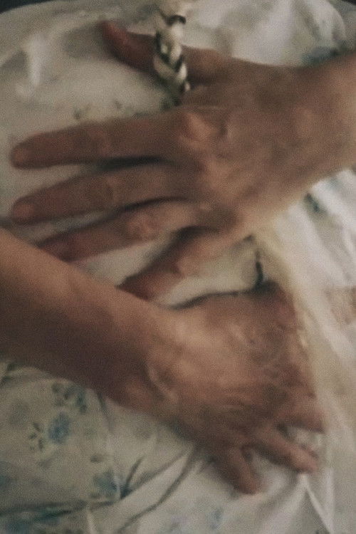 Der Schmetterling im Winter (2006) poster