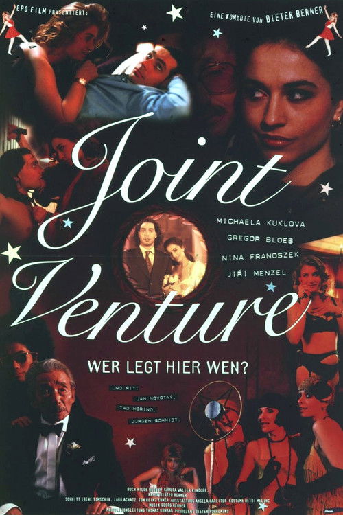 Joint Venture (1995) poster