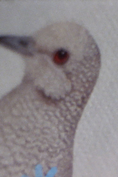 Puerta a Puerta (2022) poster