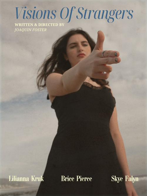 Visions Of Strangers (2025) poster