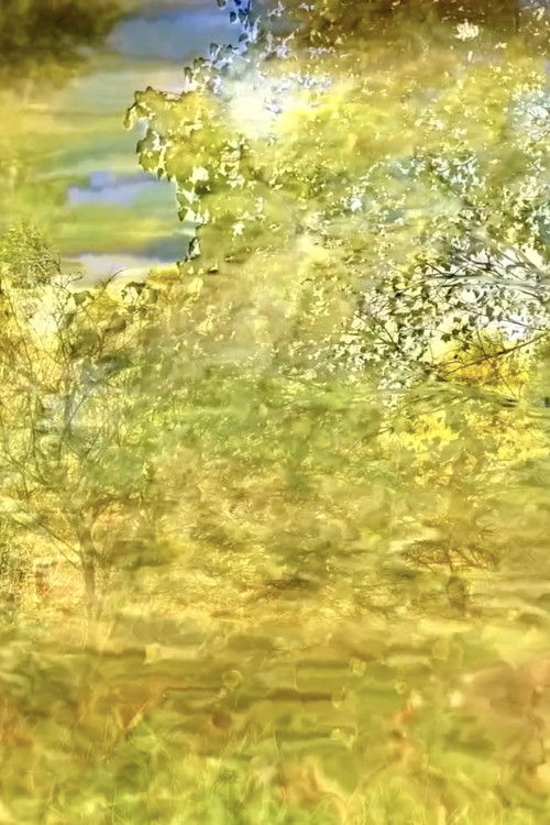 Japa n°2 (2017) poster