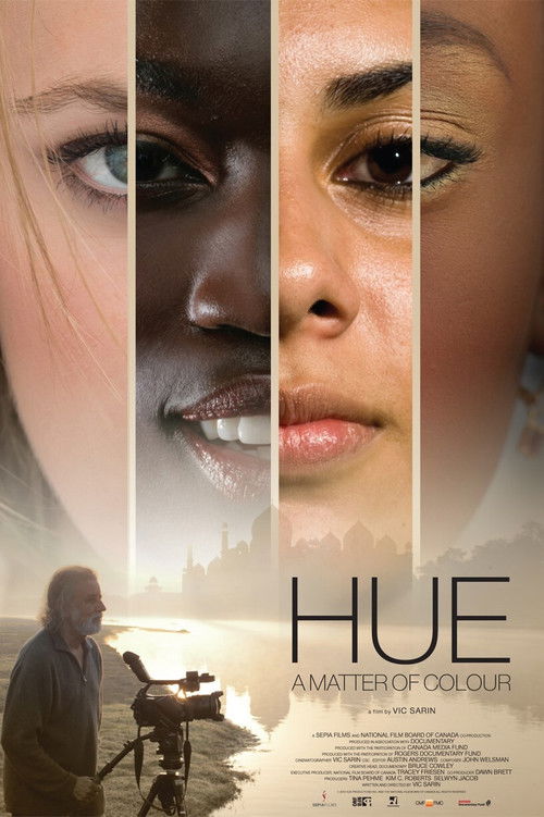 Hue: A Matter of Colour (2013) poster