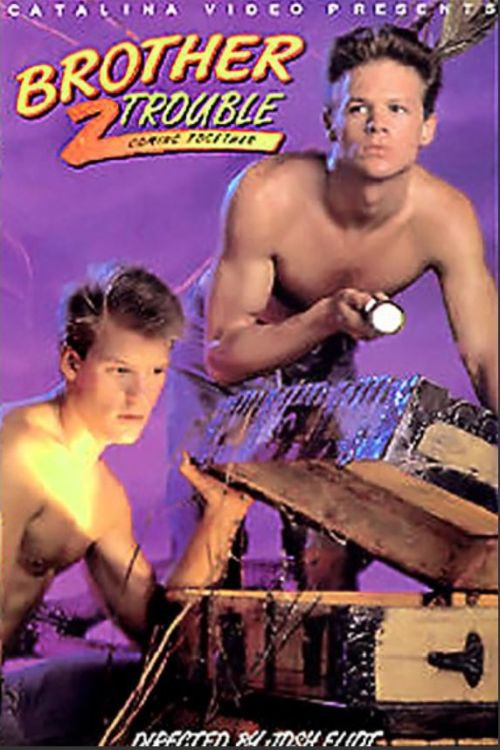 Brother Trouble 2: Coming Together (1990) poster