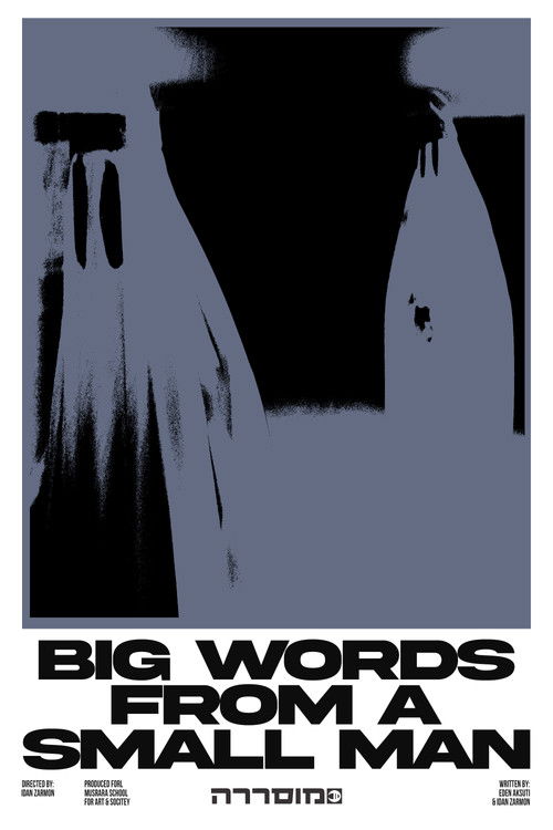 Big Words From A Small Man (2022) poster