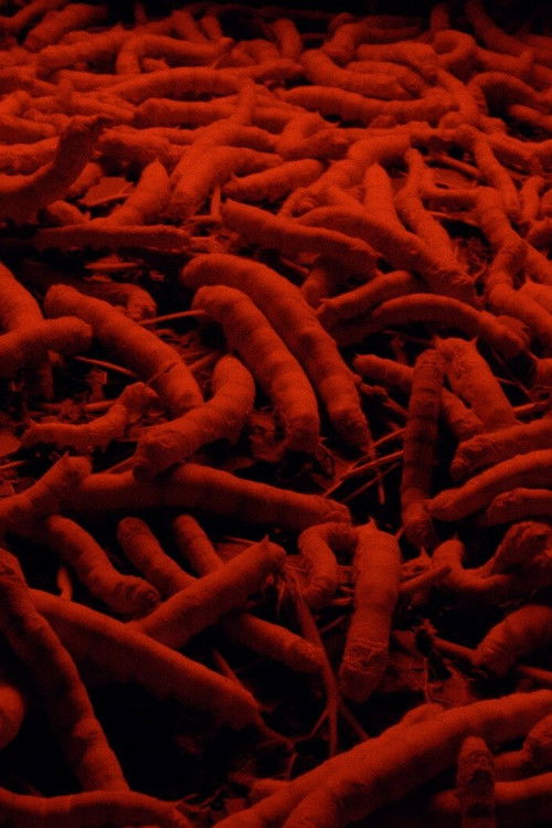 This Haunting Memory That Is Not My Own (2021) poster