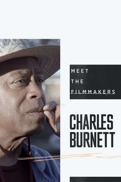 A Walk with Charles Burnett (2019) poster
