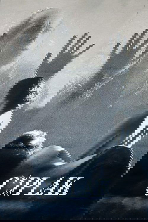 The Nude (1991) poster