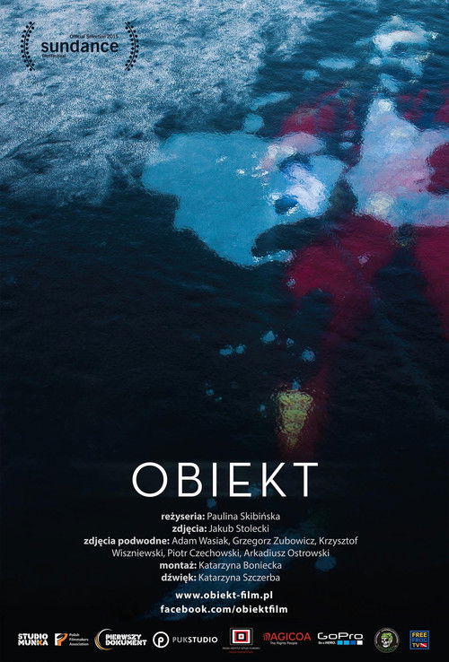 Obiekt (2015) poster