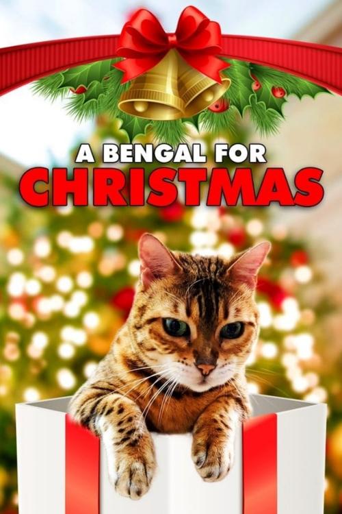 A Bengal for Christmas (2023) poster
