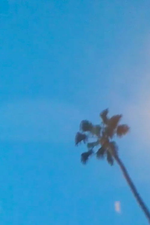 What's a Life? (Tio's Remix) (2019) poster