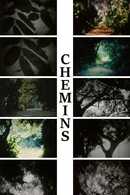 Chemins (2014) poster