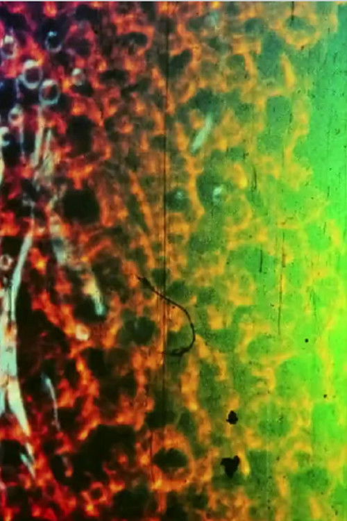 The Quilpo Dreams Waterfalls (2013) poster