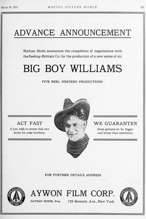 The Avenger (1924) poster