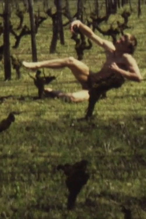 A Lost Body (1988) poster