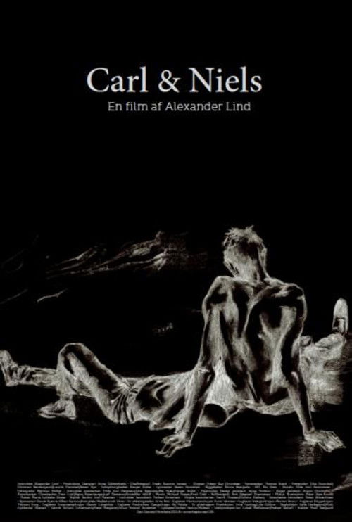 Carl & Niels (2013) poster