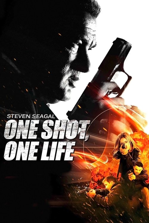 One Shot, One Life (2012) poster