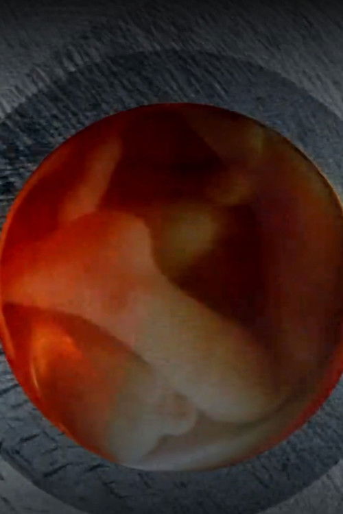 Green Eye (2013) poster