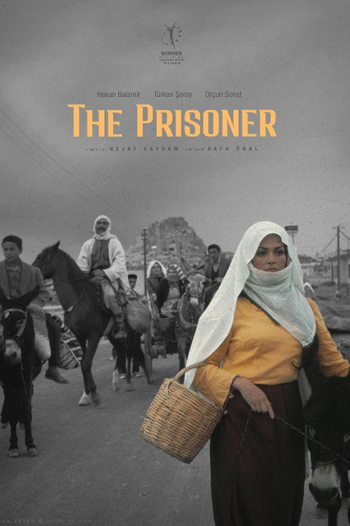 The Prisoner (1973) poster