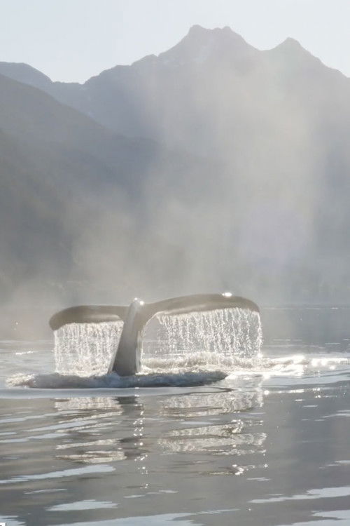 The Singing Planet (2021) poster