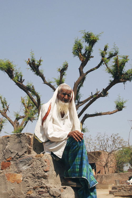 Lynch Nation (2018) poster