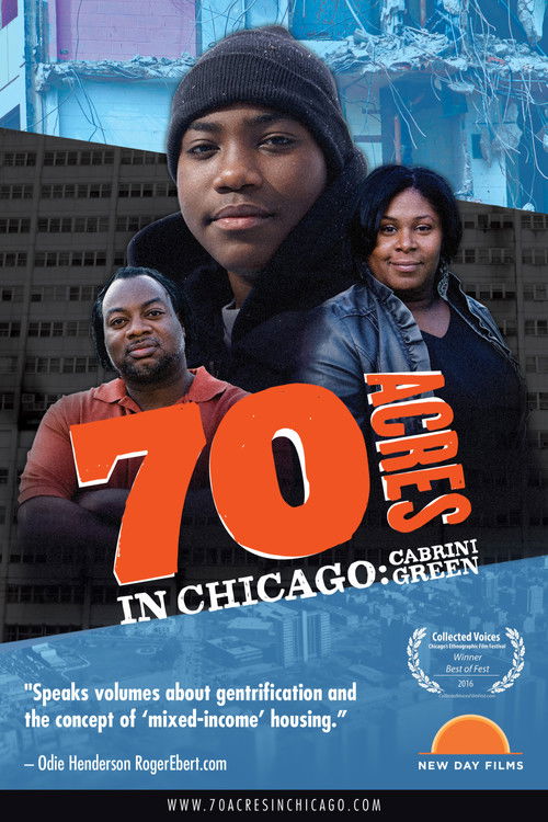 70 Acres in Chicago: Cabrini Green (2015) poster