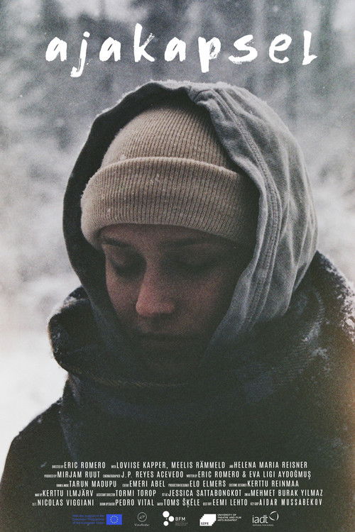 Time Capsule (2020) poster