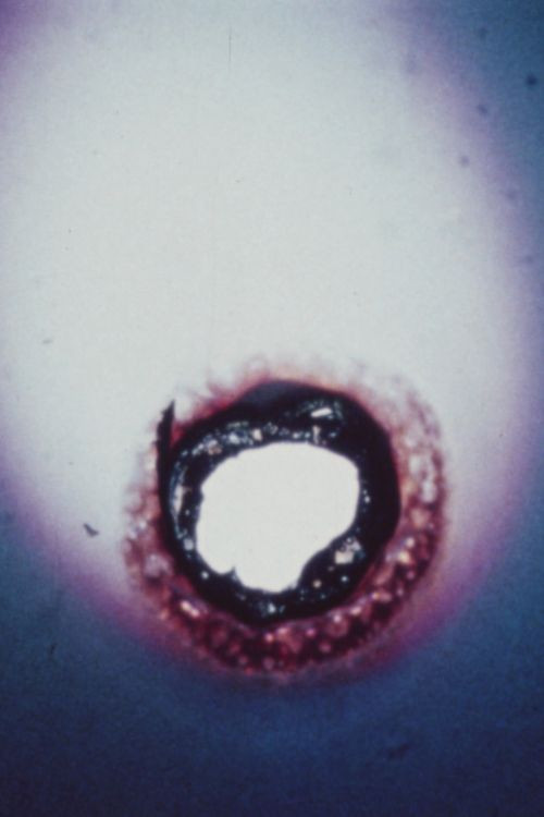 24 Frames per Second (1977) poster