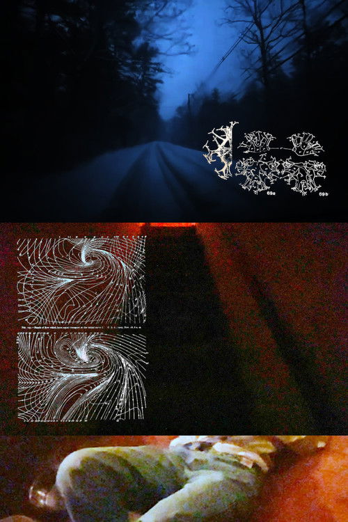 In The Slit Throat poster