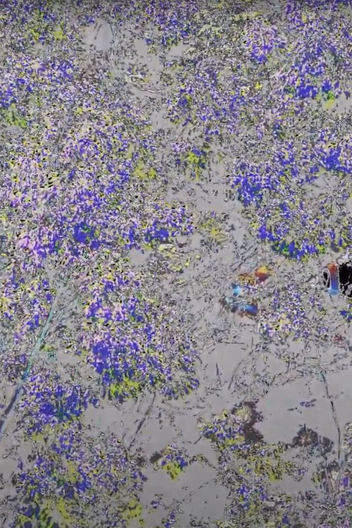 Lisbon Views (2022) poster