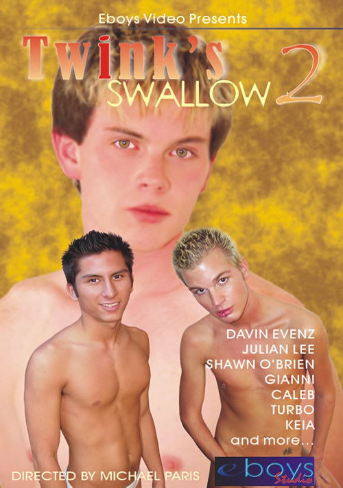 Twink's Swallow 2 (2003) poster