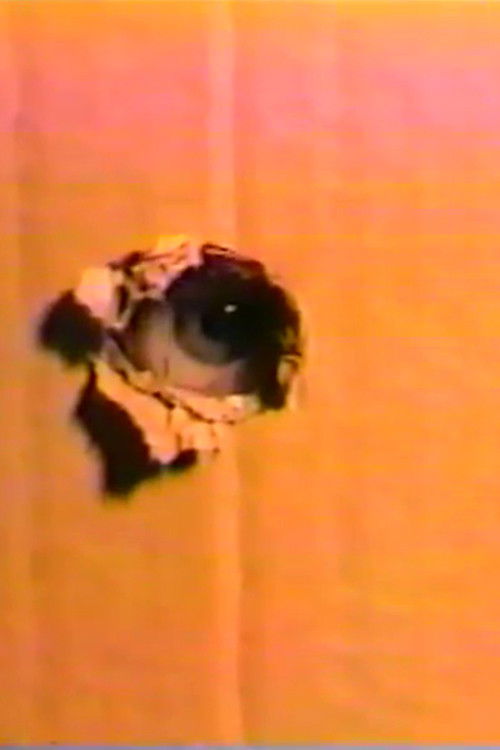 Night Sweats (2015) poster