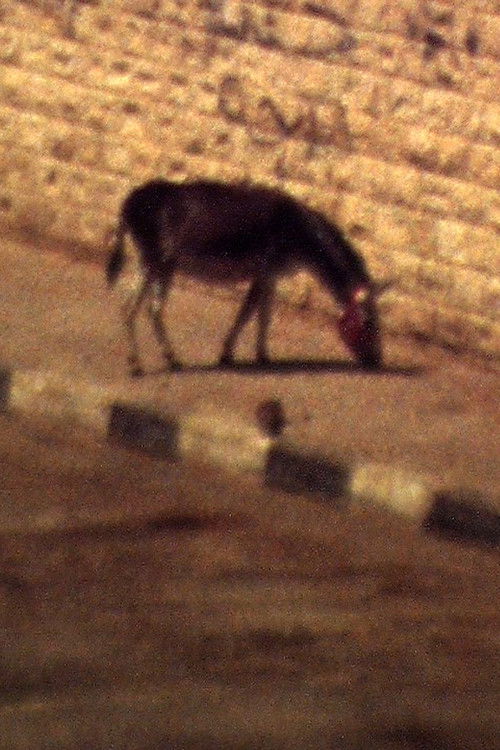 En film (2019) poster