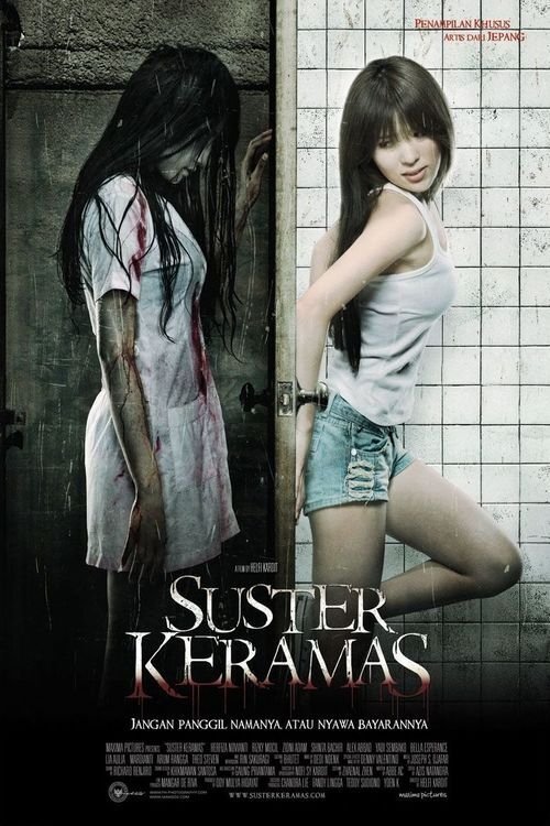 Evil Nurse (2009) poster