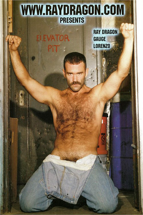 Ray Dragon Presents (2002) poster