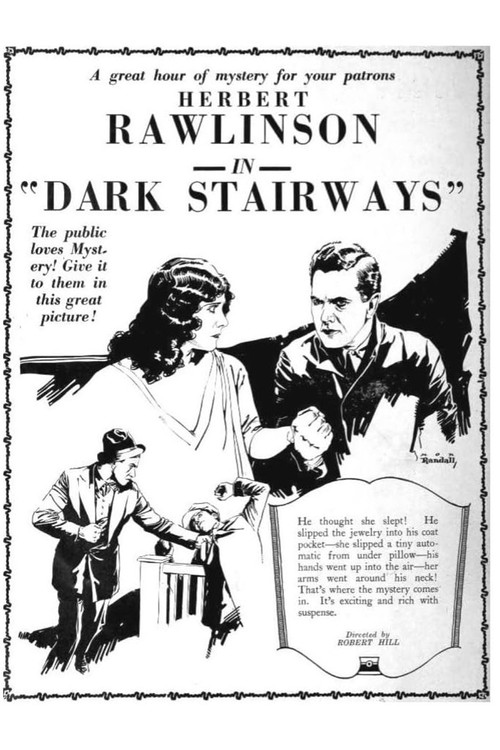 Dark Stairways (1924) poster