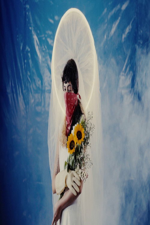 Sunset Fever (2022) poster