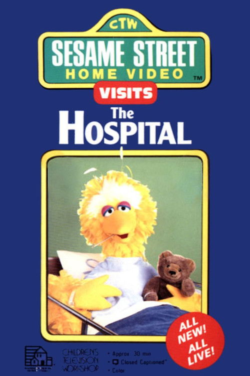 Sesame Street Home Video Visits the Hospital (1990) poster