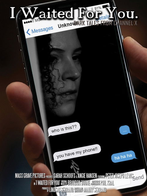 I Waited For You poster