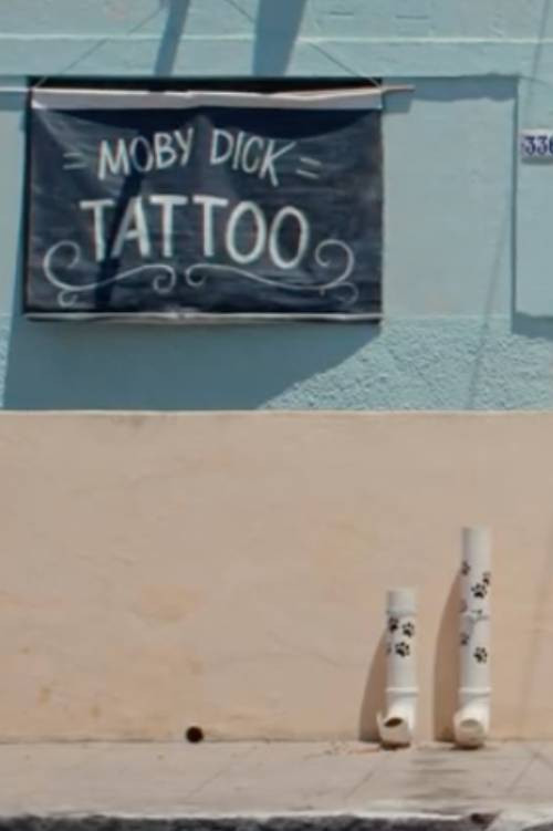 Ladeira Abaixo (2024) poster