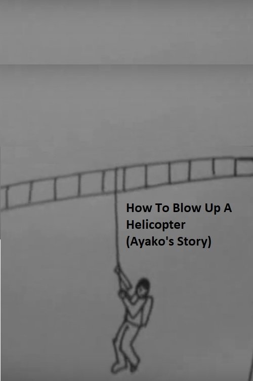 How to Blow Up a Helicopter (Ayako's Story) (2009) poster