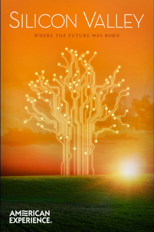Silicon Valley (2013) poster