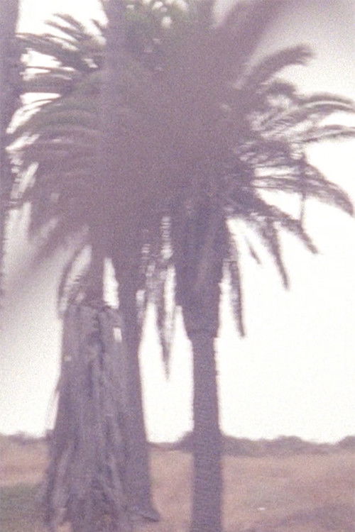 Something to Touch That Is Not Corruption or Ashes or Dust (2020) poster