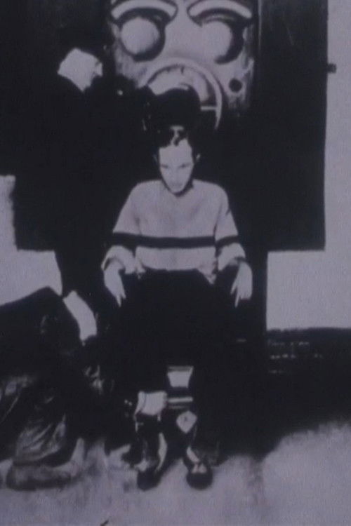 Who Killed the Lindbergh Baby? (1982) poster