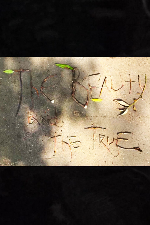 The Beauty and the True (2022) poster