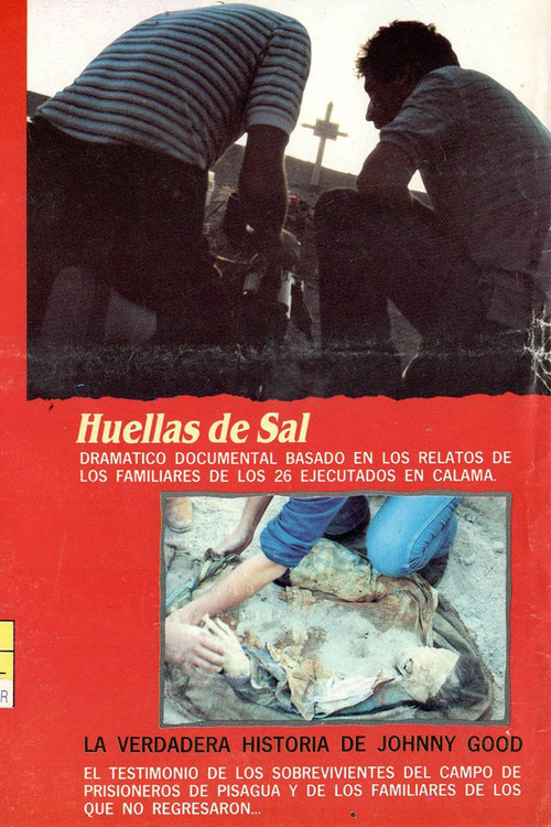 La Verdadera Historia de Johny Good (1990) poster