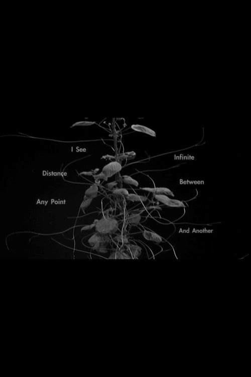 I See Infinite Distance Between Any Point and Another (2012) poster