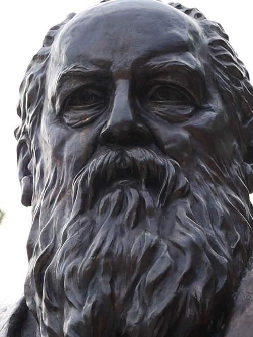 Bagh-e Safa (2025) poster