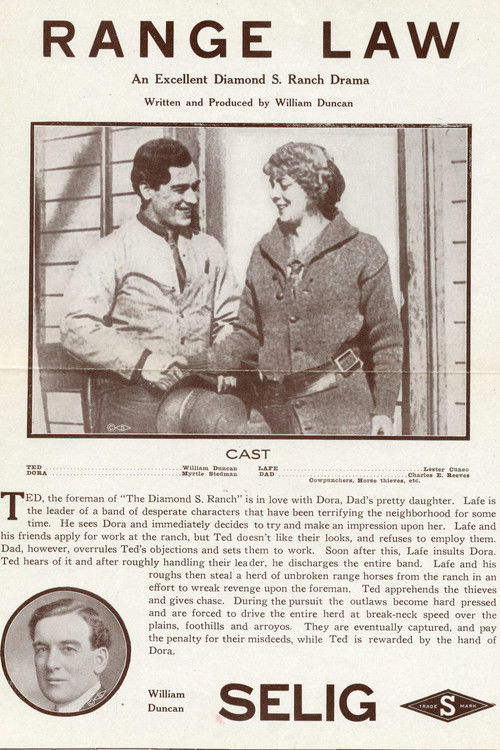 The Range Law (1913) poster