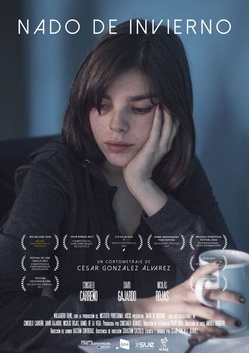 The Winter Swim (2017) poster